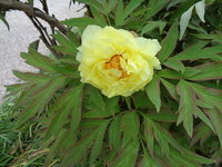 DSC01043.JPG