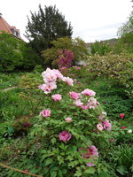 DSC01044.JPG