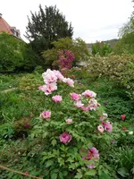 DSC01044.webp