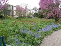 DSC01048.webp