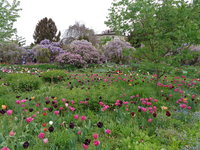 DSC01054.JPG