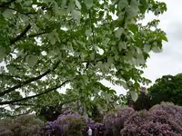DSC01057.webp