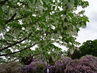 DSC01057.JPG