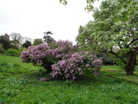 DSC01059.JPG