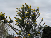 DSC01061.JPG