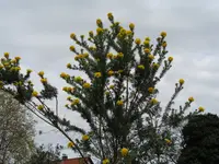 DSC01061.webp