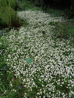 DSC01065.JPG