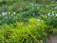 DSC01070.JPG