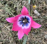 IMG_4999.jpeg