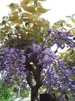 20240414_152944.webp