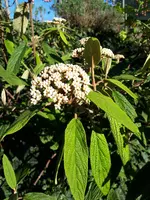 20240414_172646.webp