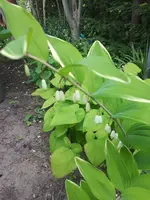 20240415_101947.webp