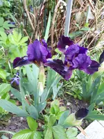 20240414_113330.webp