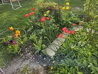 20240416_000604.jpg
