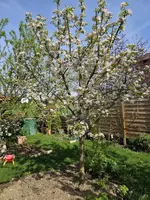 20240414_103354.webp