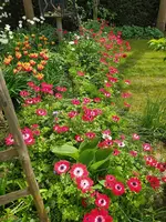 IMG_20240414_130542.webp