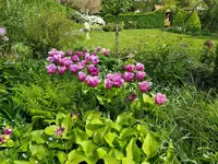 IMG_20240414_130654.webp