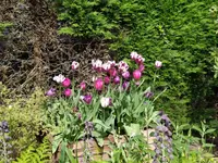 IMG_20240414_130820.webp