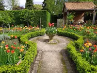 IMG_20240414_130859.webp