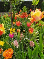 IMG_20240414_131000.jpg