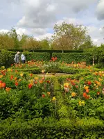 IMG_20240414_131028.webp