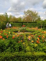 IMG_20240414_131028.jpg