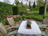 IMG_20240414_131327.webp