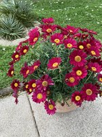 IMG_1625.JPG