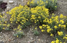 IMG_1626.JPG
