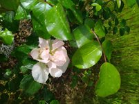 IMG_20240417_104337.jpg