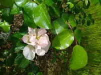 IMG_20240417_104337.webp