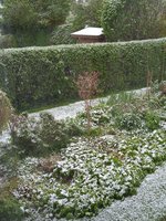 IMG_20240417_092006.jpg