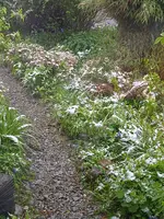 IMG_20240417_092143_1.webp