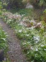 IMG_20240417_092143_1.jpg