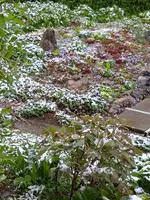 IMG_20240417_092319.webp