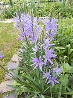 20240415_180012.jpg