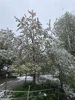 IMG_2734.jpeg