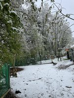 IMG_2735.jpeg