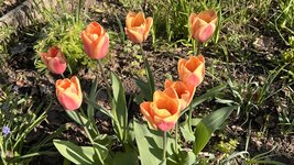IMG_9664.jpeg