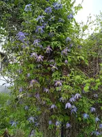 IMG_20240418_133808.webp