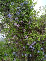 IMG_20240418_133808.jpg