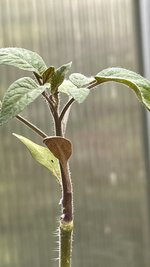 IMG_9778.jpeg