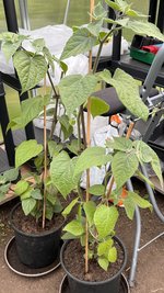 IMG_9722.jpeg