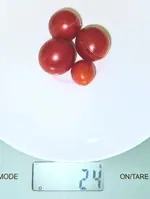 20240419_203045.webp