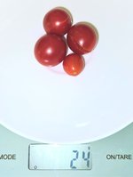 20240419_203045.jpg