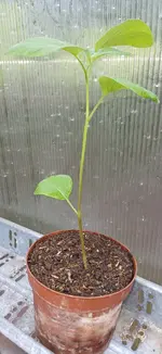 1000007681.jpg