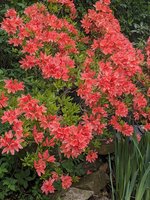 PXL_20240420_120052256.jpg