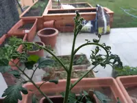 20240420_180015.webp