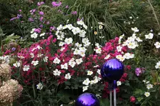 Ok     t.1323.webp