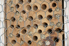 Insektenhotel0818.JPG
